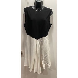 Zara Black White Block Two tone Sleeveless Dress blogger
